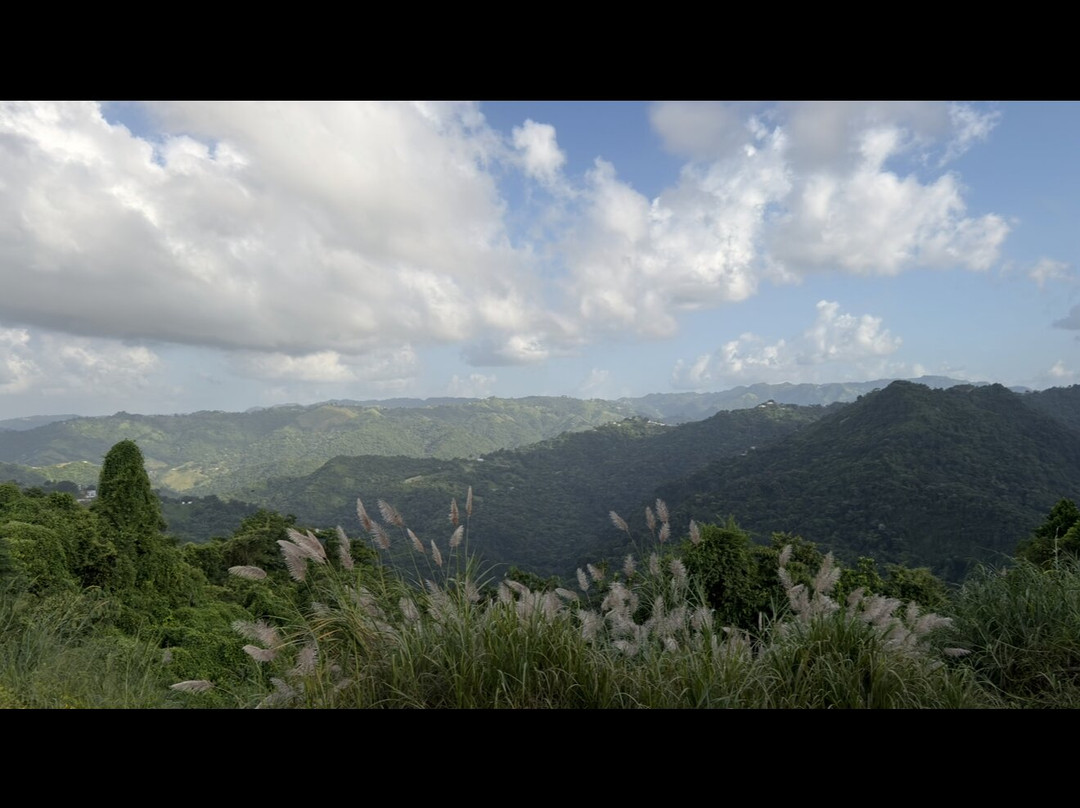 J Star Tours-Manati必去景点