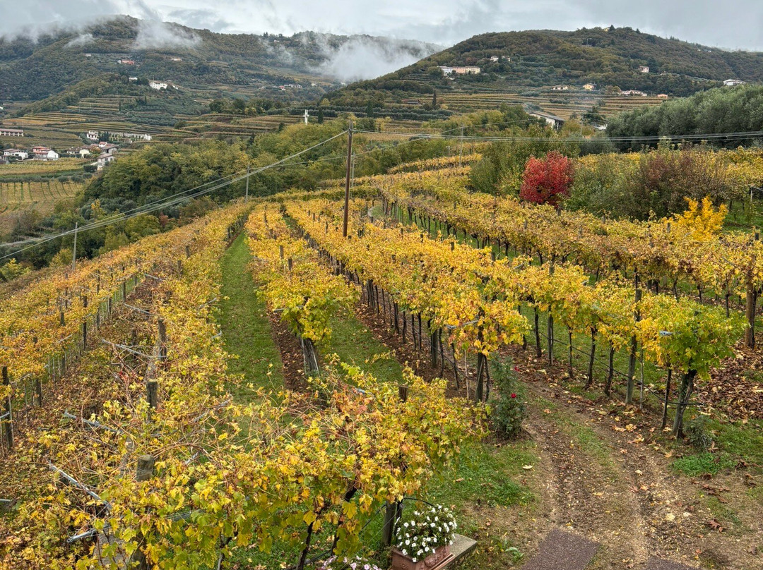 Azienda Agricola Giuseppe Quintarelli-Negrar di Valpolicella必去景点