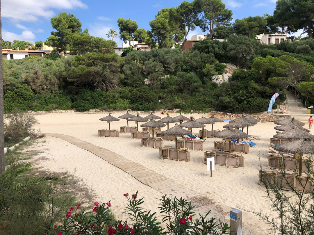 Cala Anguila-马纳科尔必去景点