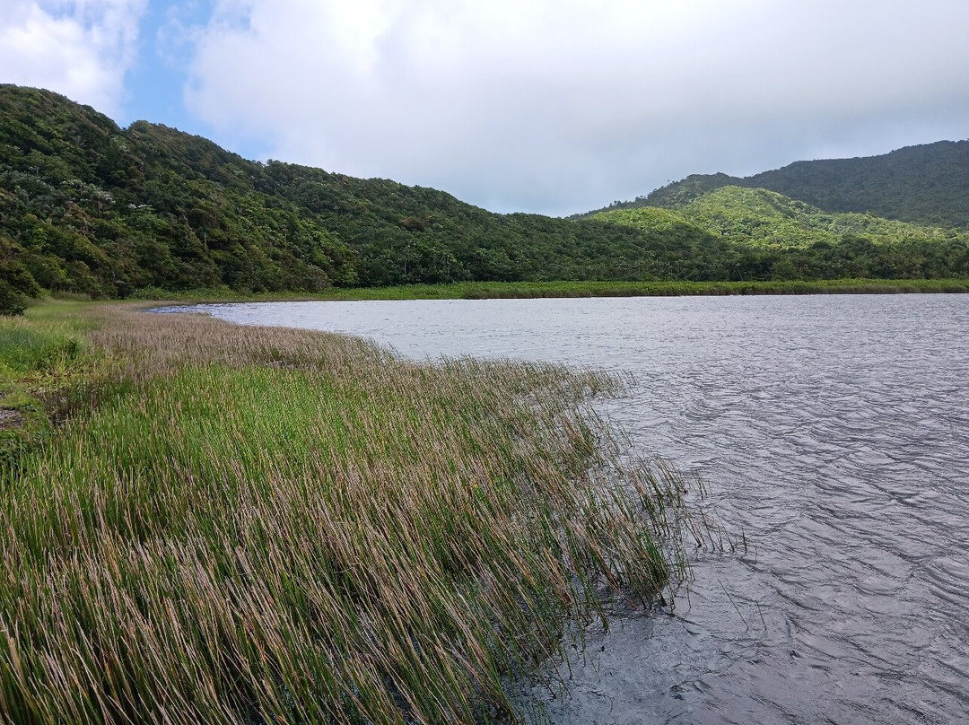Grand Etang Lake-Grand Etang National Park必去景点