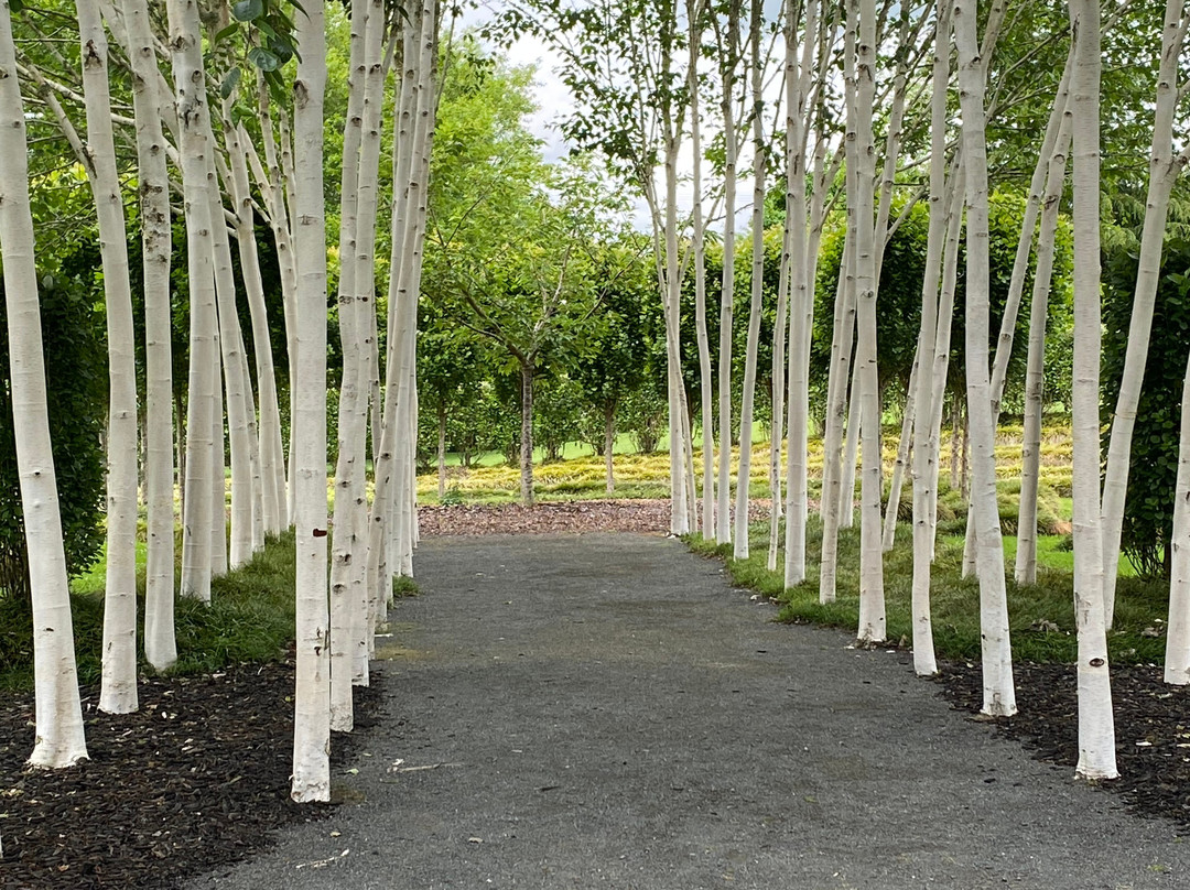 TreeChurch and Gardens-Ohaupo必去景点