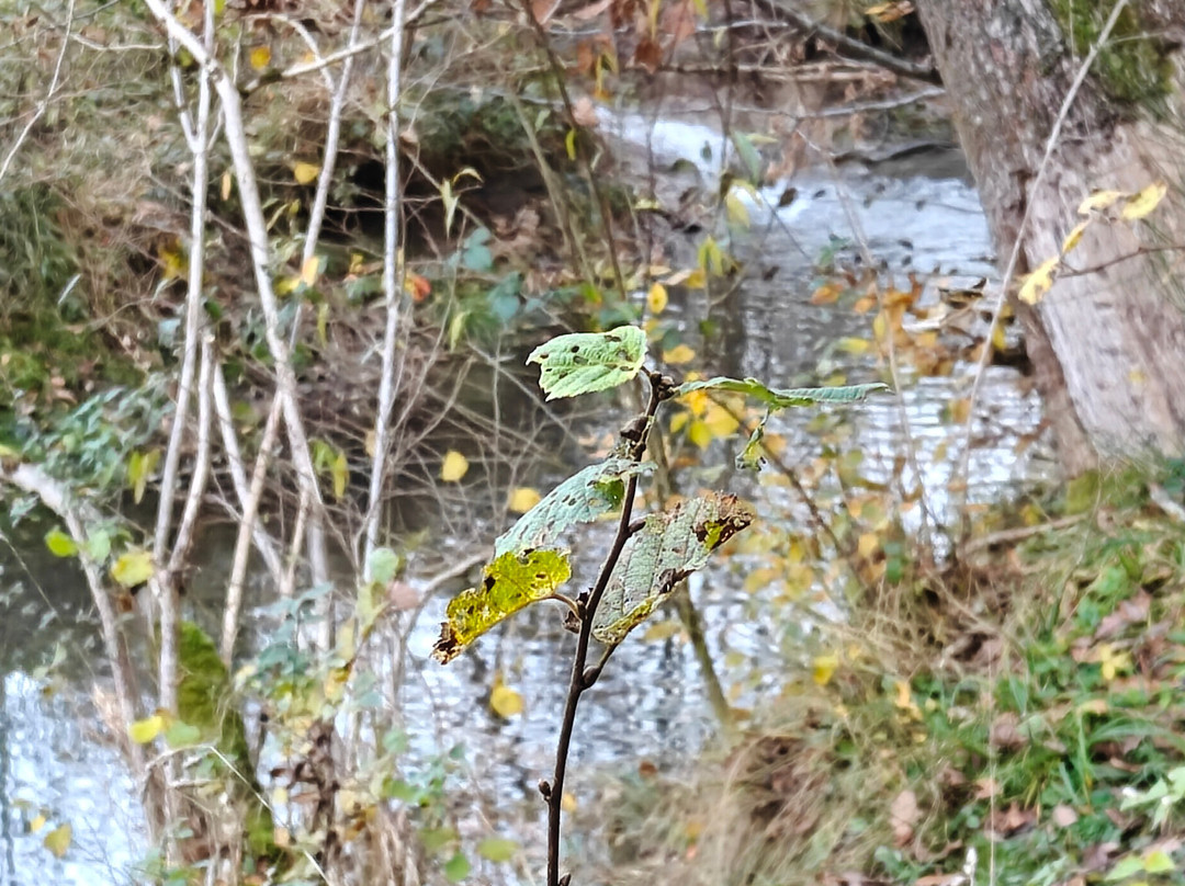 Domaine Provincial de Chevetogne-Chevetogne必去景点