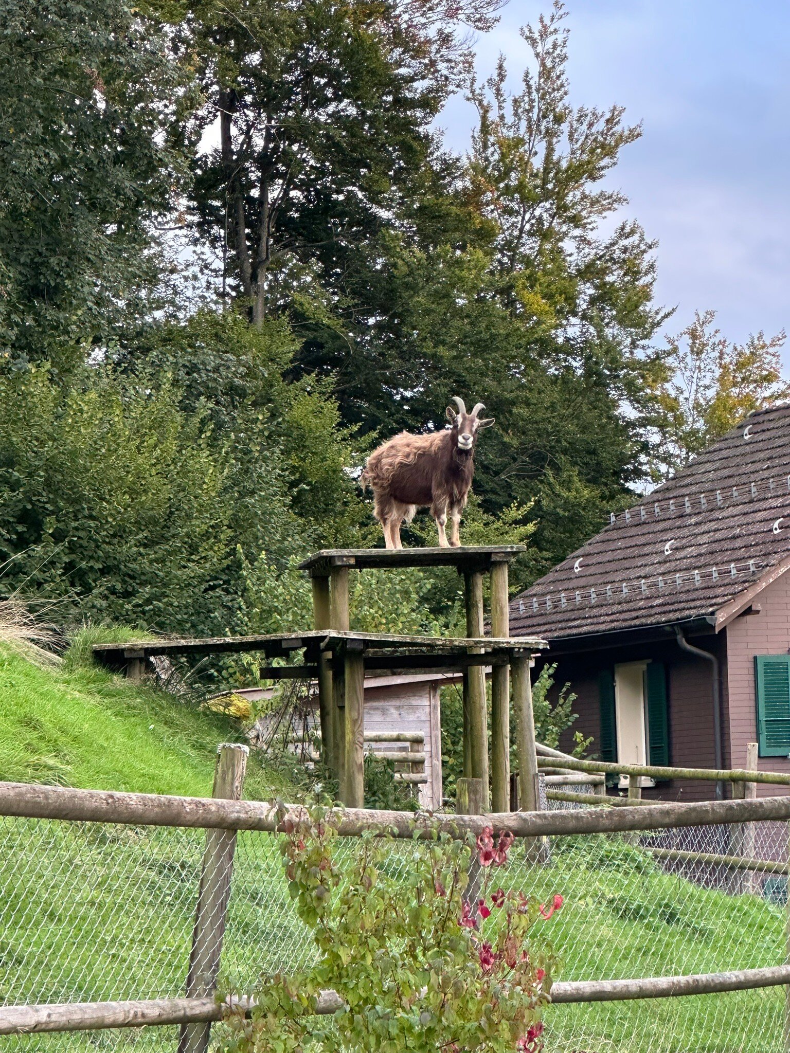 Hotel und Seminarhaus Ländli-官方