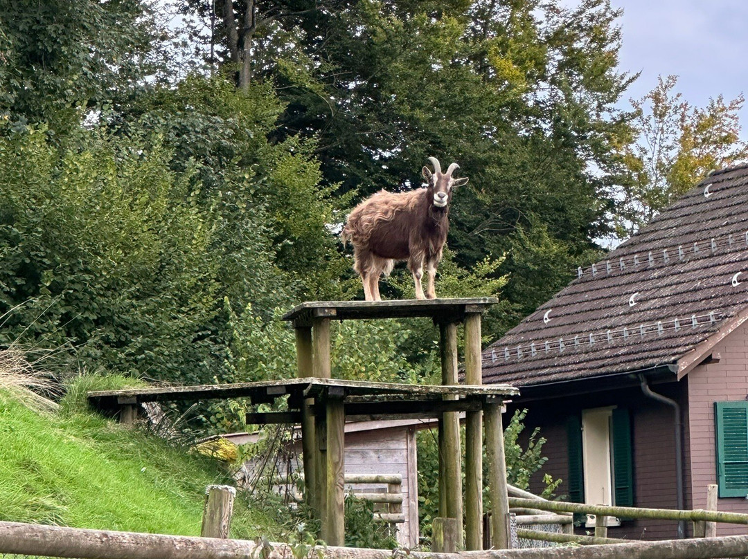 Hotel und Seminarhaus Ländli主图