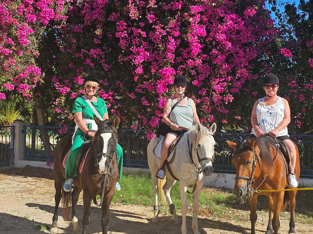 Zinebledi Horse Riding Club-苏塞必去景点
