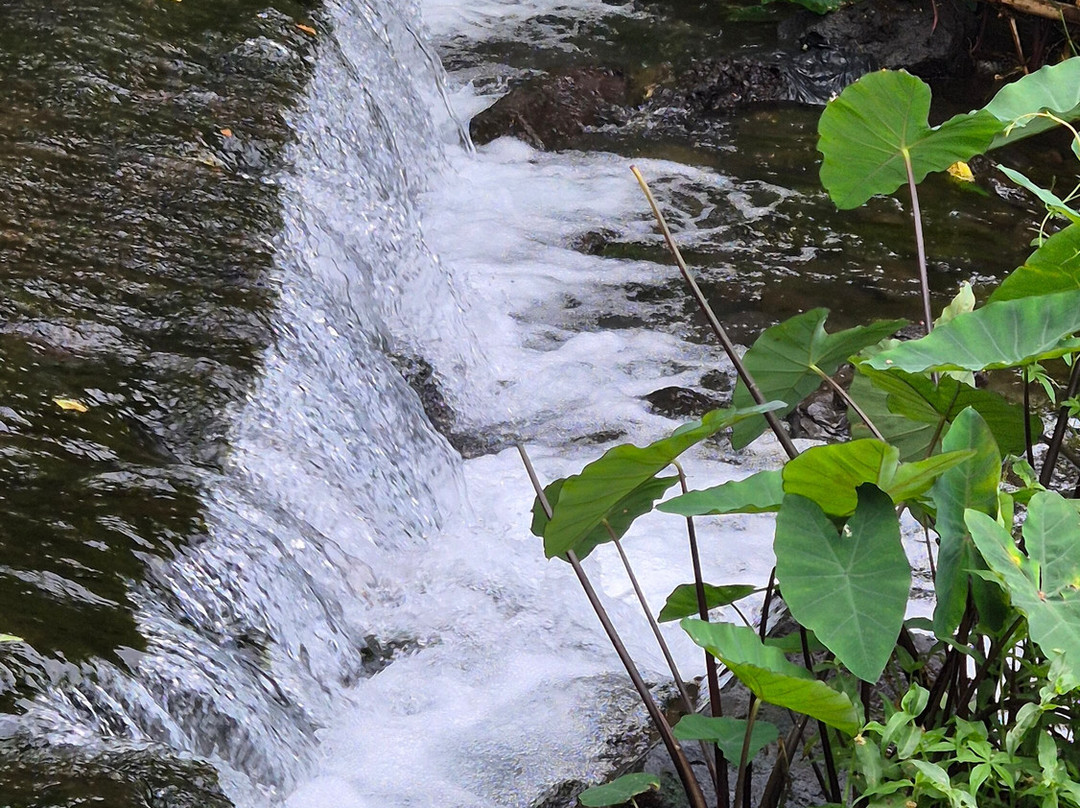 PIKPIK Tours-圣亮必去景点