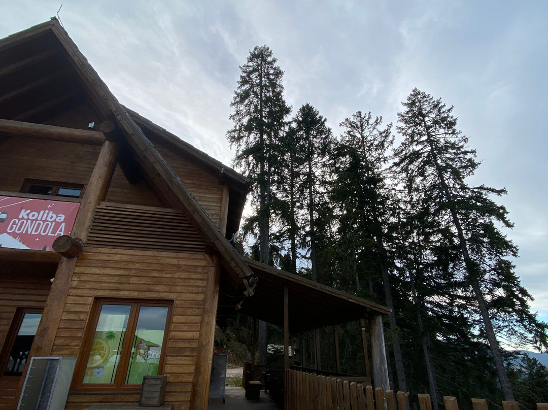 Ski Centar Ravna Planina-Pale必去景点