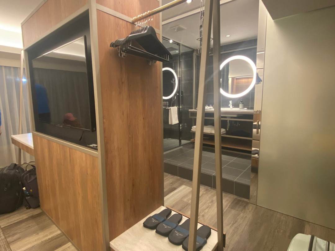 HOTEL THE FLAG Shinsaibashi主图