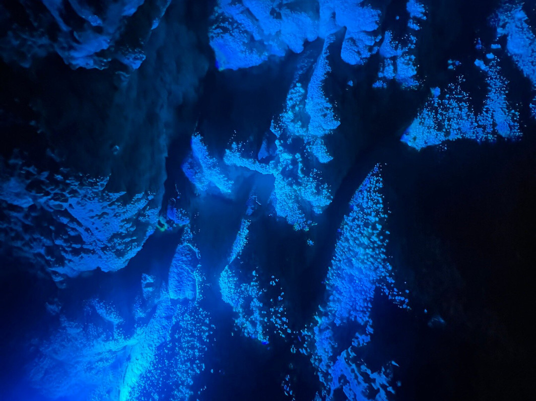 Canelobre Caves-Placita de Cabeco必去景点