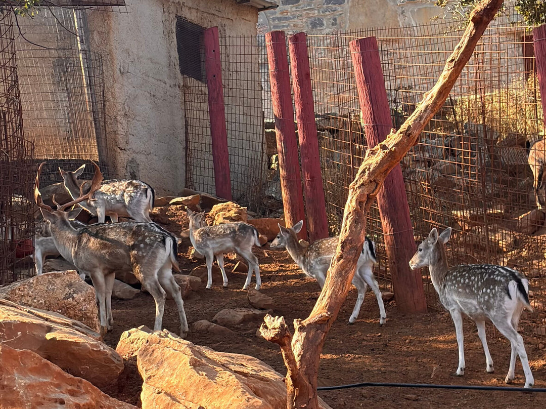 The Shepherds Shelter-Milopotamos必去景点
