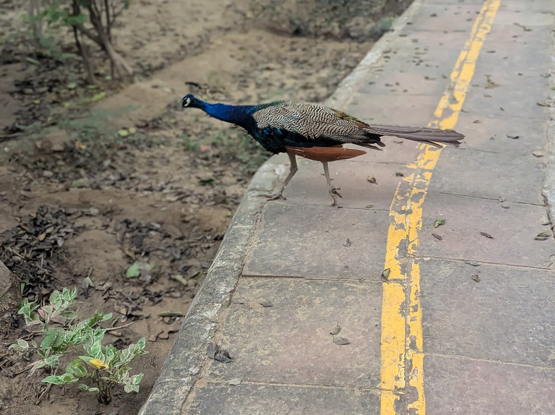 Taj Nature Walk-阿格拉必去景点