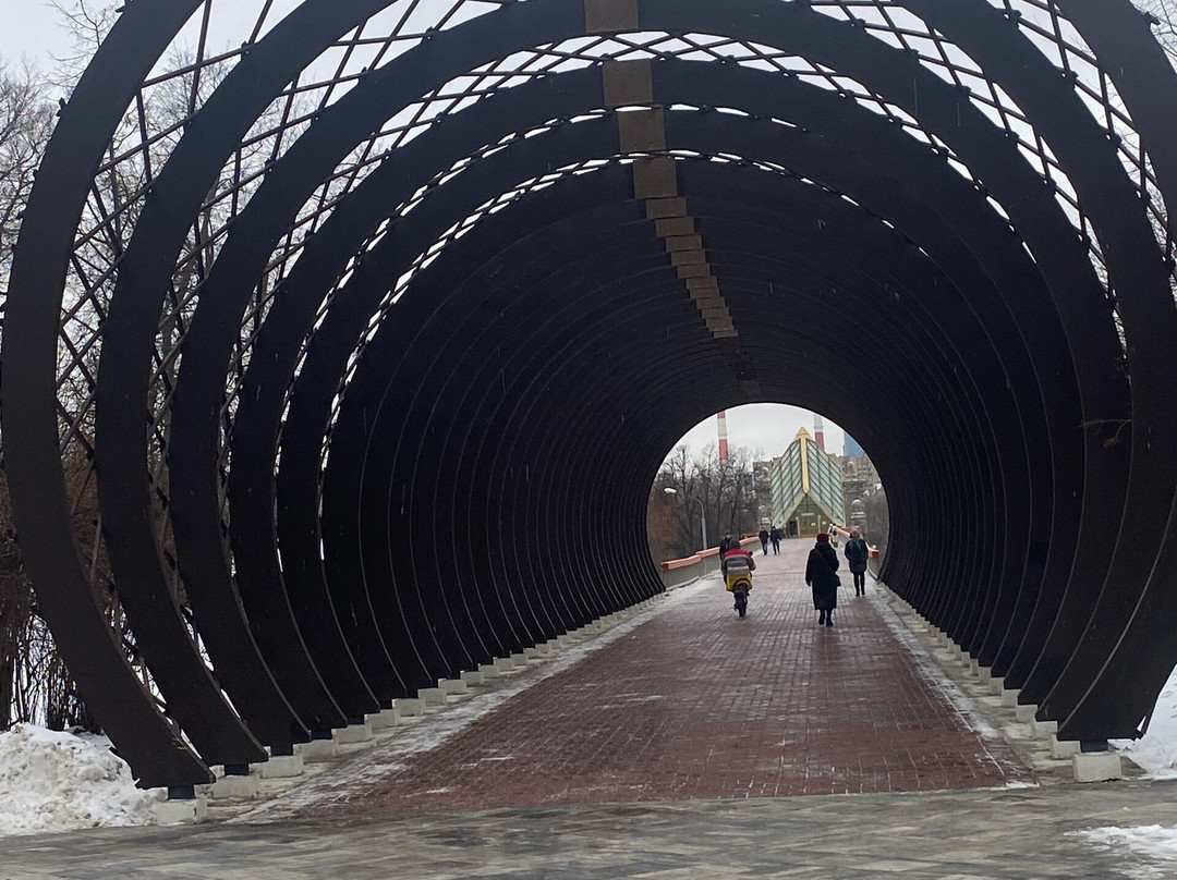 Pushkinskiy / Andreyevskiy  Bridge-莫斯科必去景点