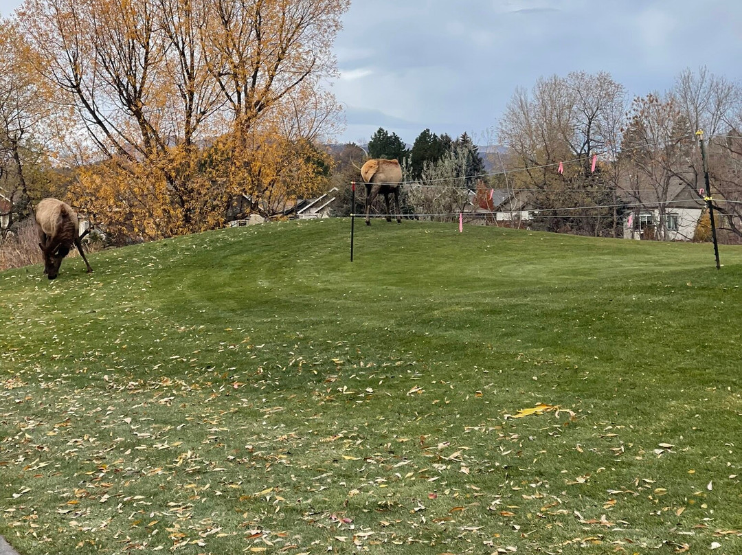 Mariana Butte Golf Course-拉夫兰必去景点