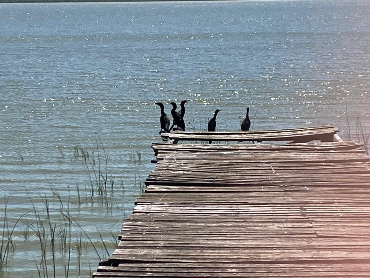 Hotel Roble Blanco-官方