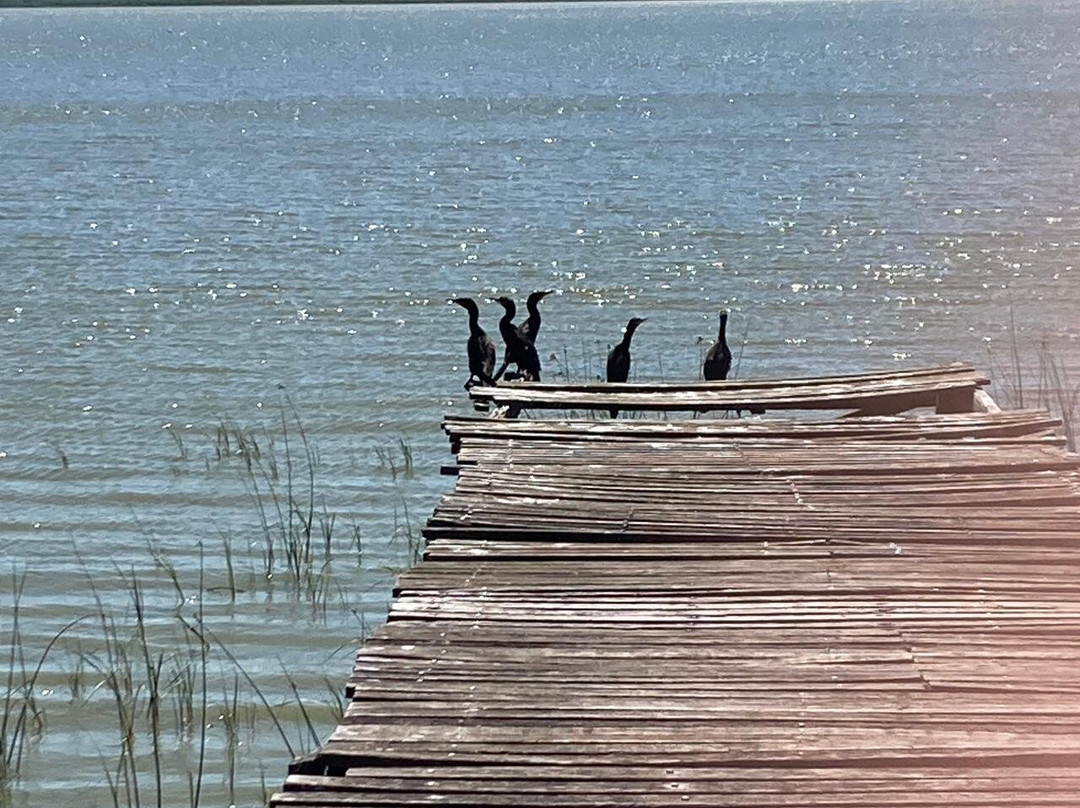 Hotel Roble Blanco主图