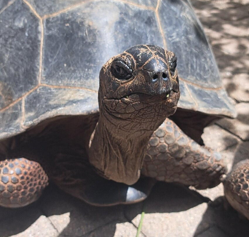 Moyenne Island-马埃岛必去景点