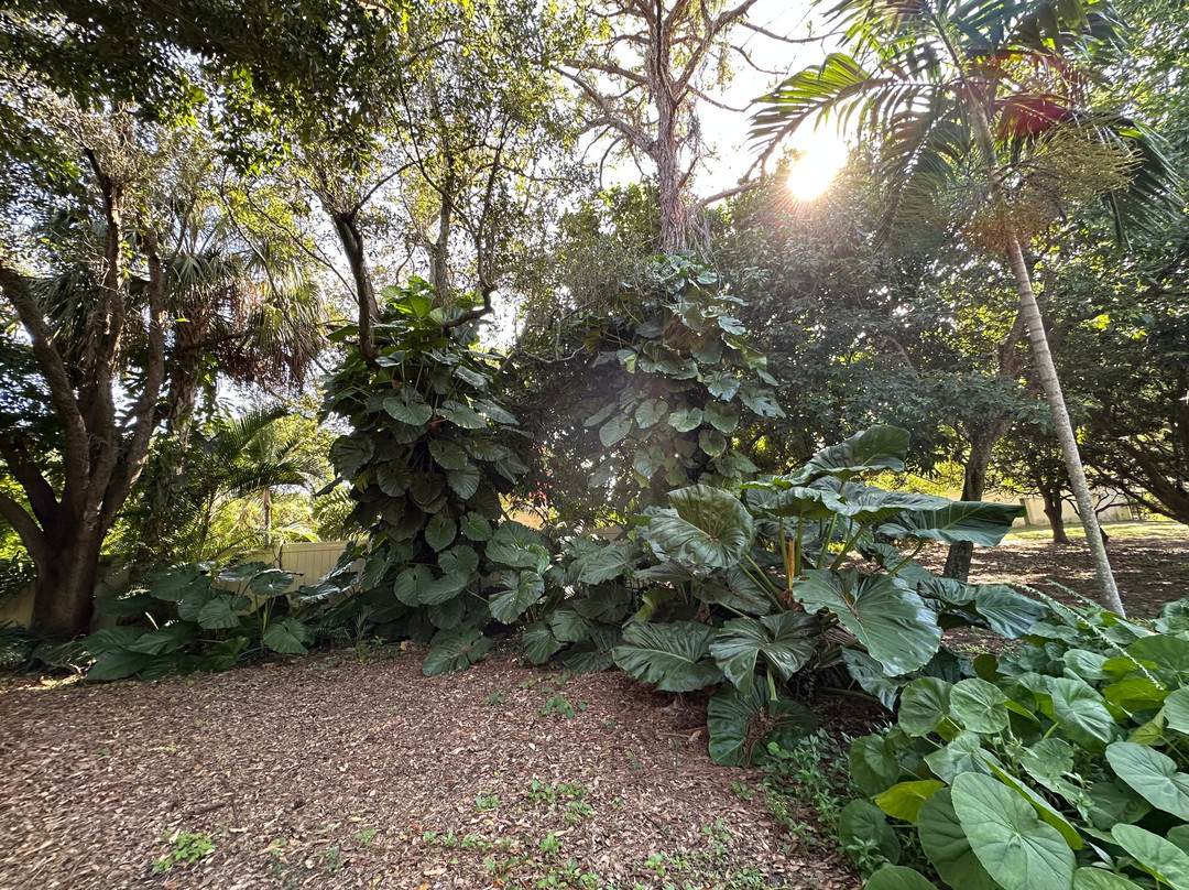 Deerfield Beach Arboretum-迪尔菲尔德比奇必去景点