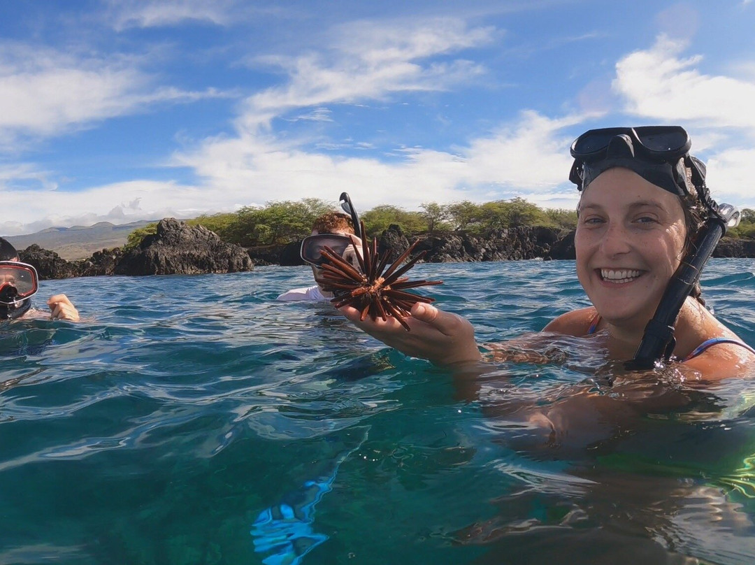 Hawai'i Surf and Kayak-普阿克必去景点