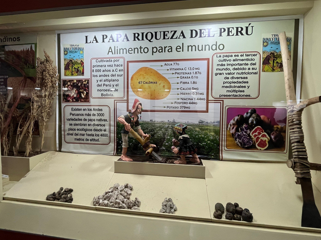 Pukara Archaeological Site-Pucara必去景点