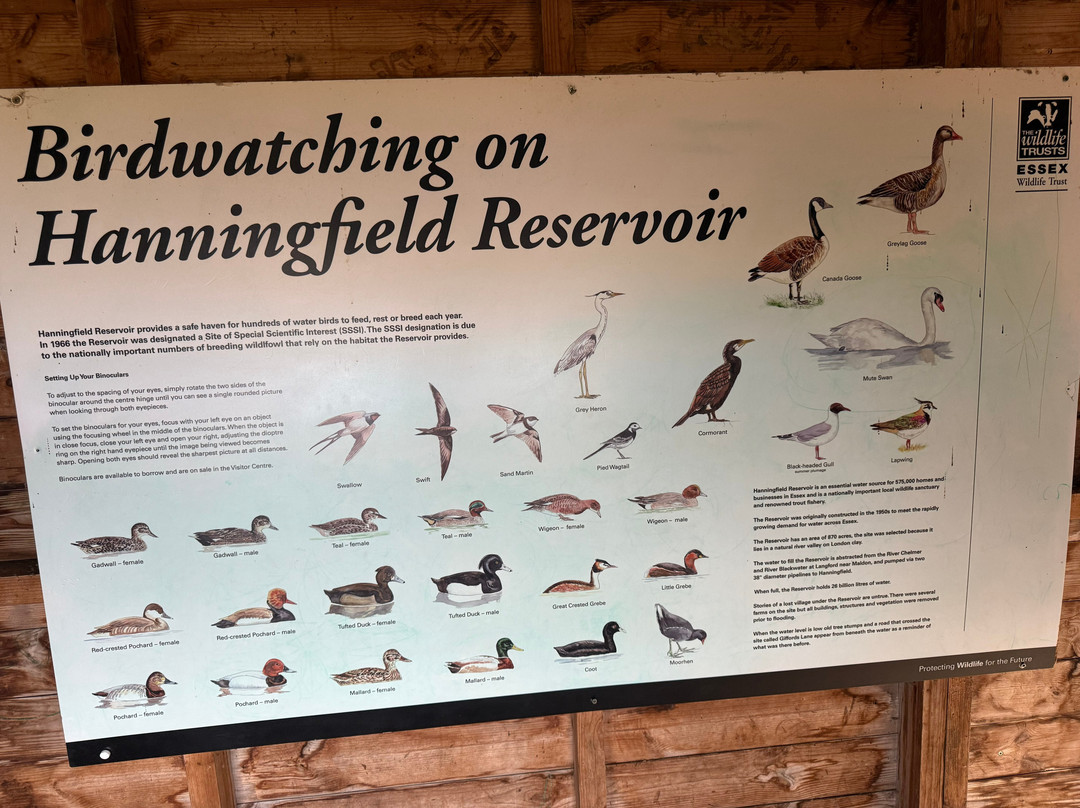 Hanningfield Nature Discovery Centre-Billericay必去景点