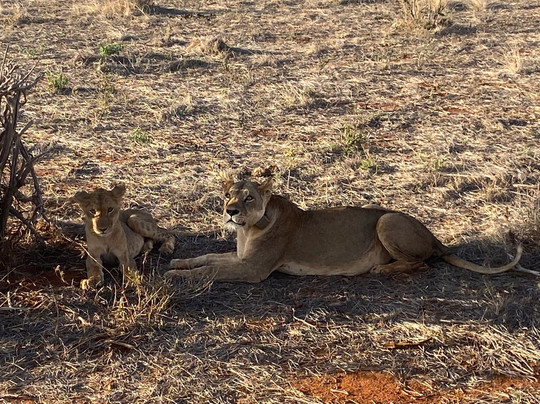 Africana Adventures Kenya-瓦塔木必去景点