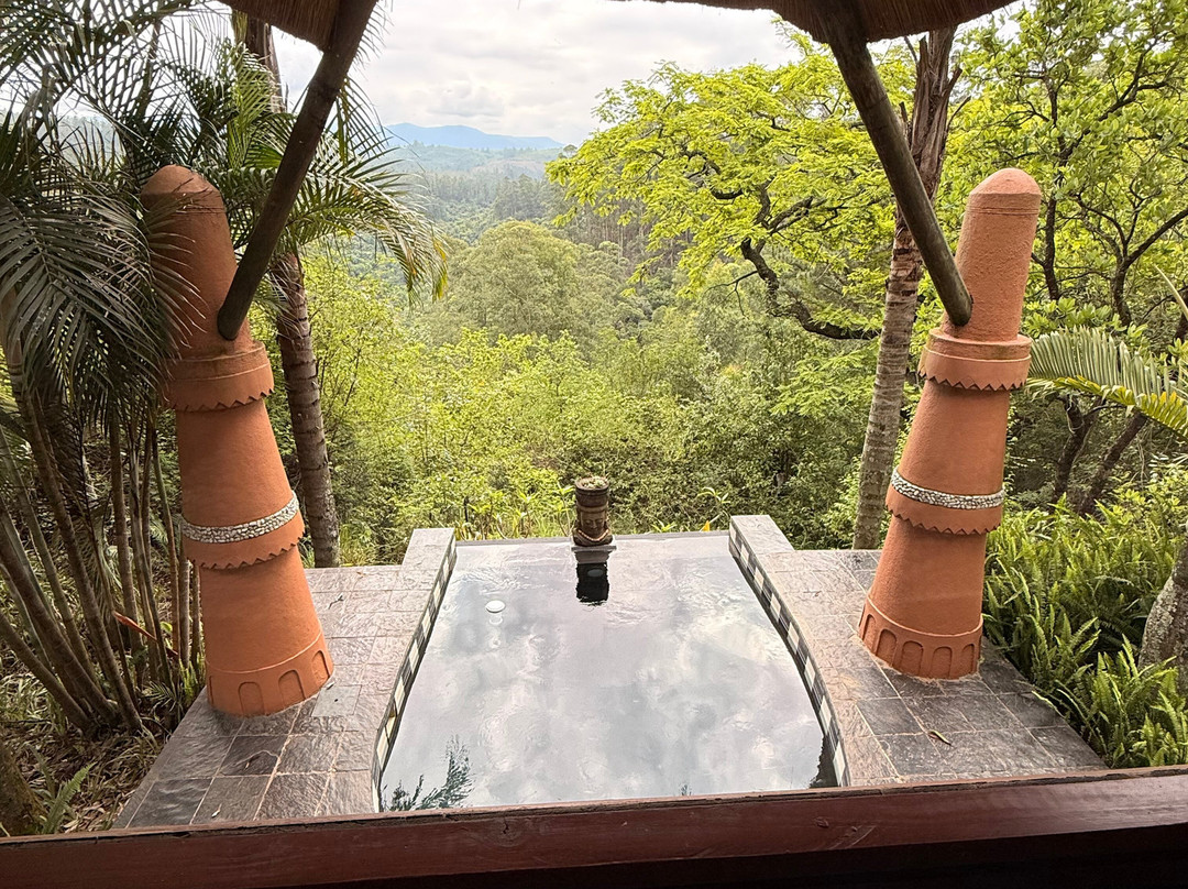 Rhino Africa Safaris-开普敦中心区必去景点