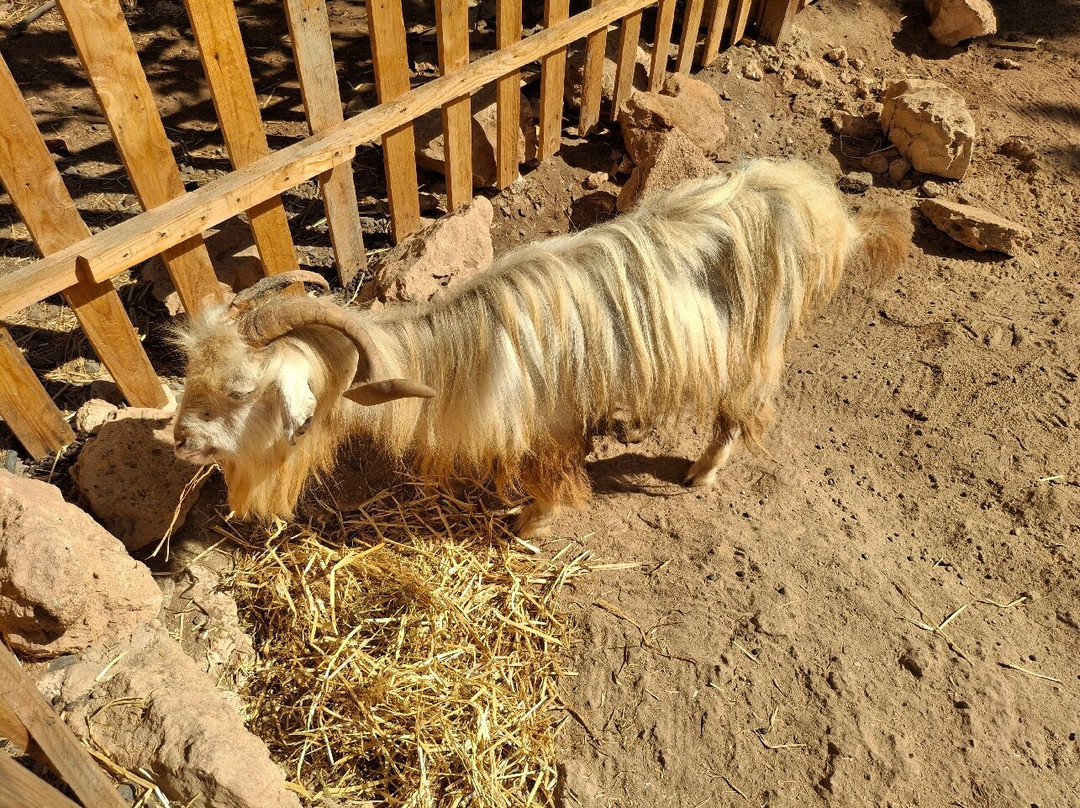 Viveiro, Botanical Garden & Zoo di Terra-圣塔玛丽亚必去景点