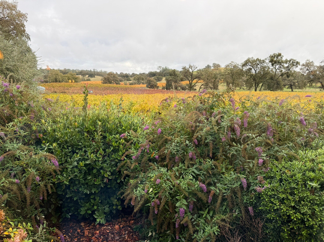 Grand Reserve Inn主图