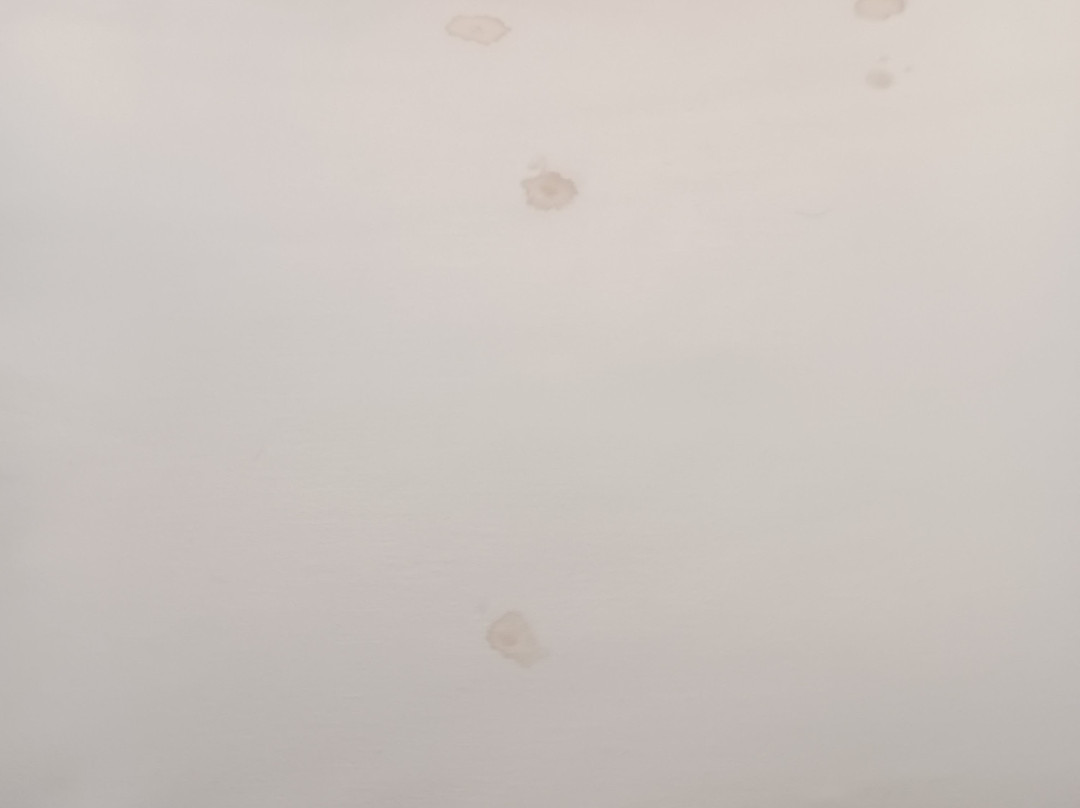 Candlewood Suites Bloomington By IHG主图