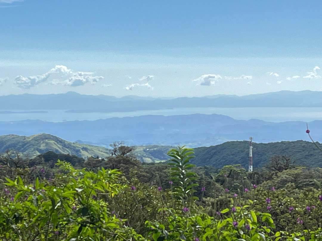 Aguti Monteverde - Wildlife Reserve-圣埃伦娜必去景点
