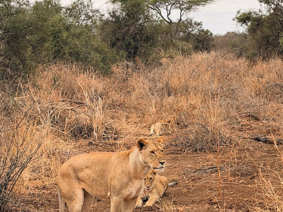 Gamewatchers Safaris-内罗毕必去景点