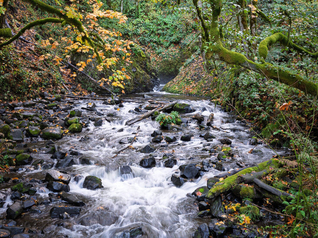 Bridal Veil Falls State Park-Corbett必去景点