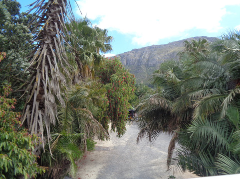 World of Birds-开普敦中心区必去景点