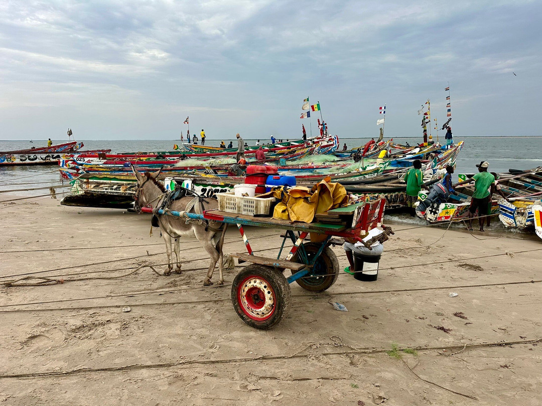 Nouvelles Frontieres-达喀尔必去景点