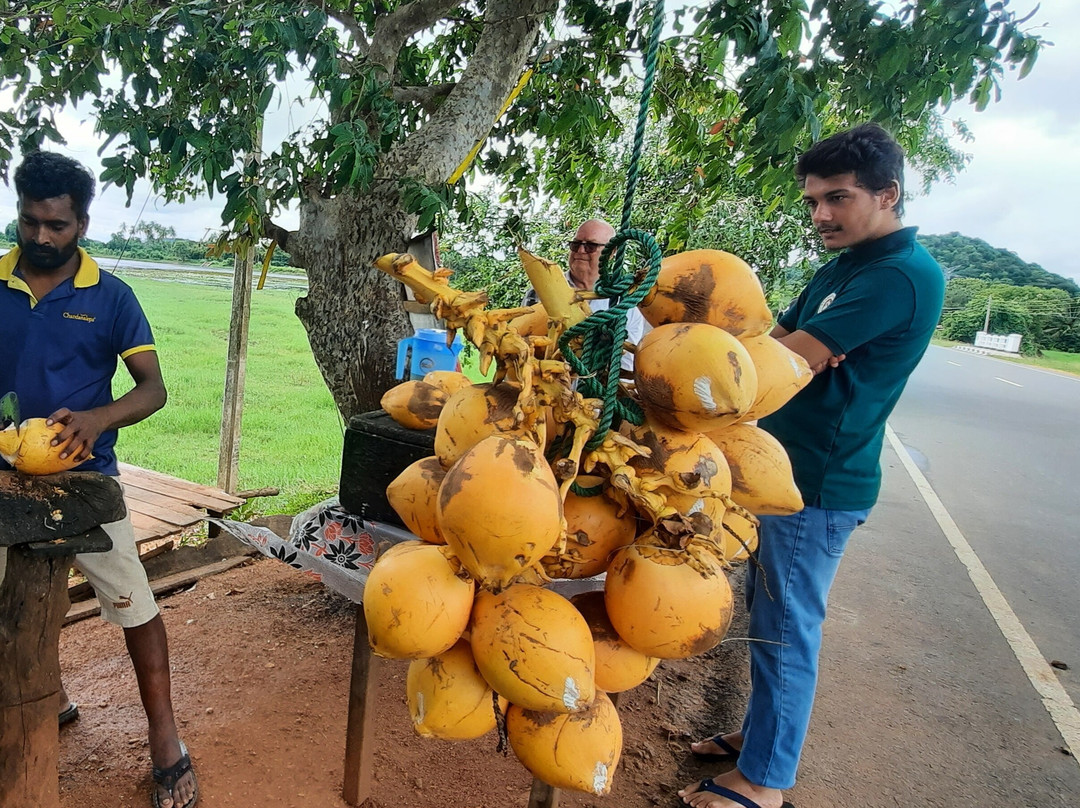 Lanka Tracker - Day Tours-马塔拉必去景点