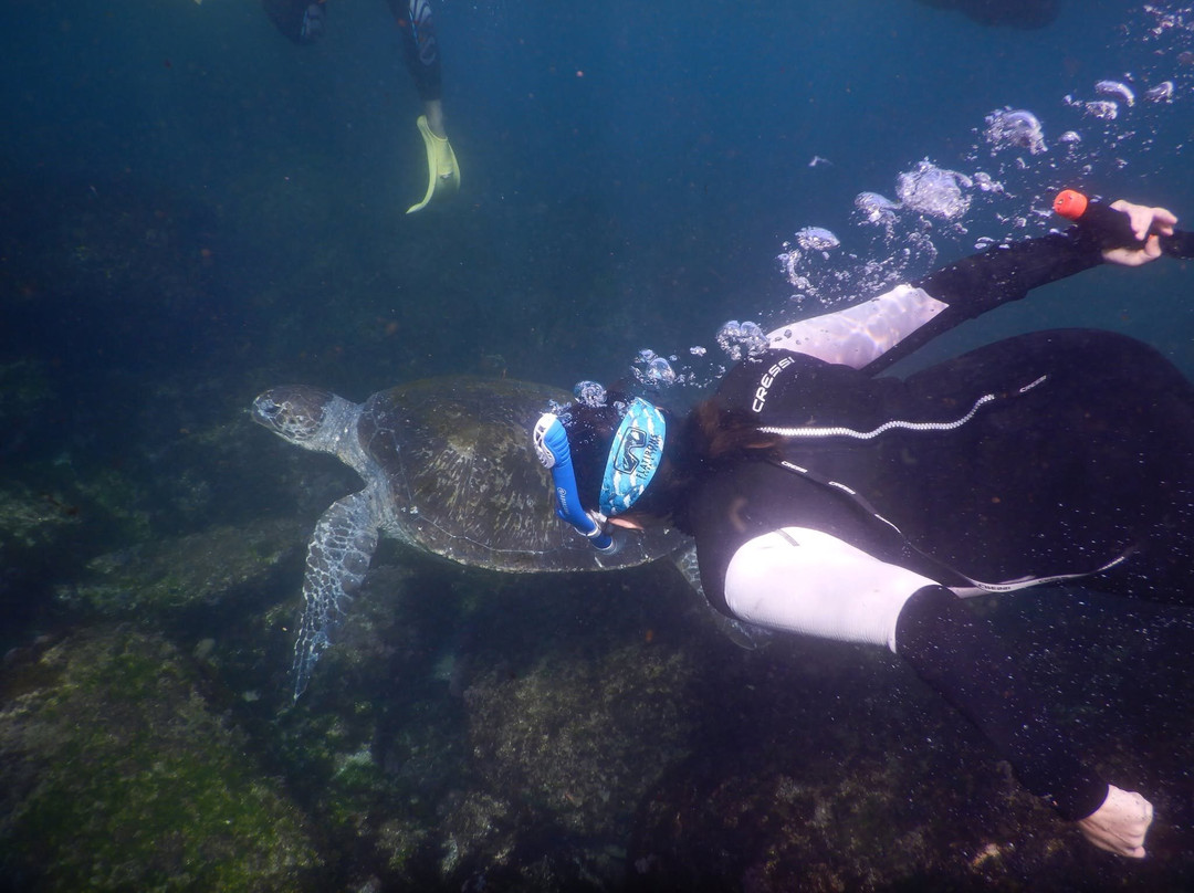 Watersports Guru-Kingscliff必去景点