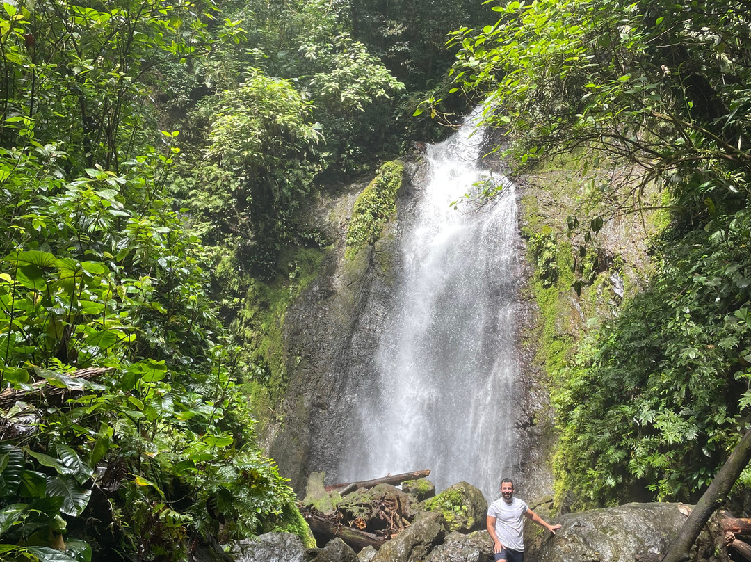 Sukia Travel-德雷克湾必去景点