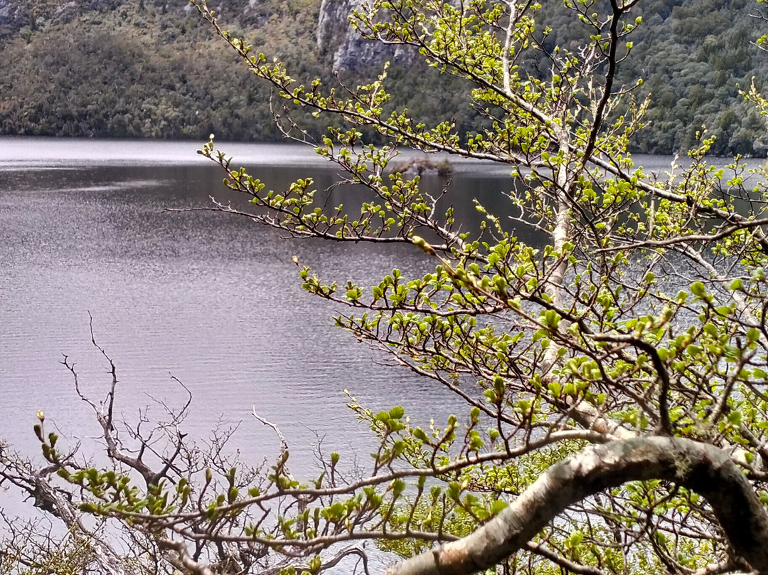 Crater Lake Circuit-摇篮山圣克莱尔湖国家公园必去景点