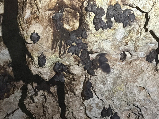 Tank-ha Dive Center-普拉亚德尔卡曼必去景点