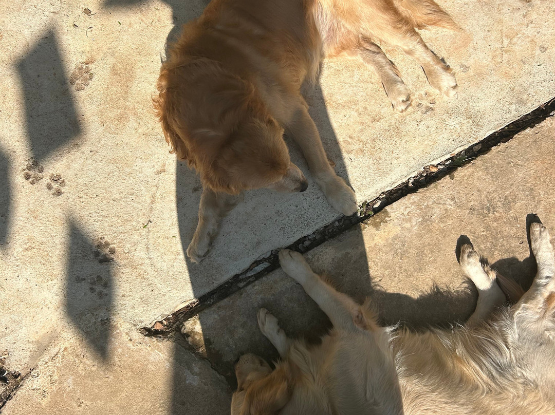 La Maison De Buoc主图