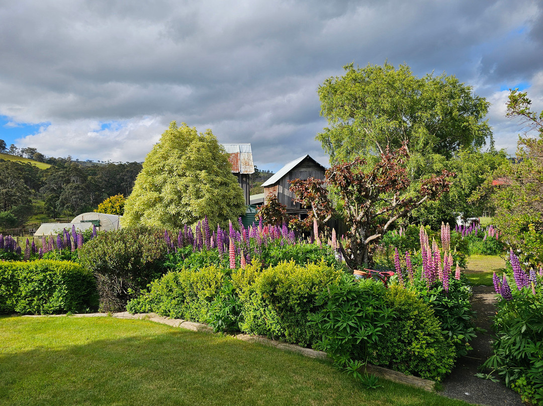 哈姆雷特丘陵地区住宿主图