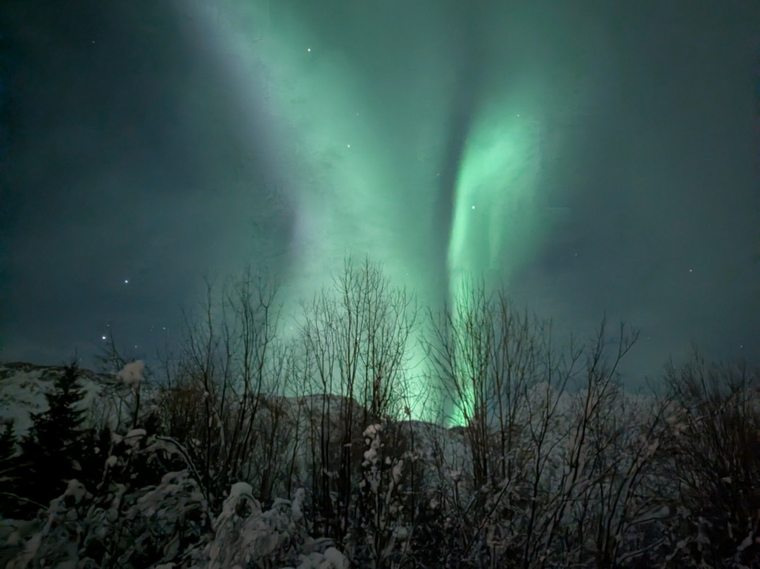 Skadi Adventures AS-特罗姆瑟必去景点