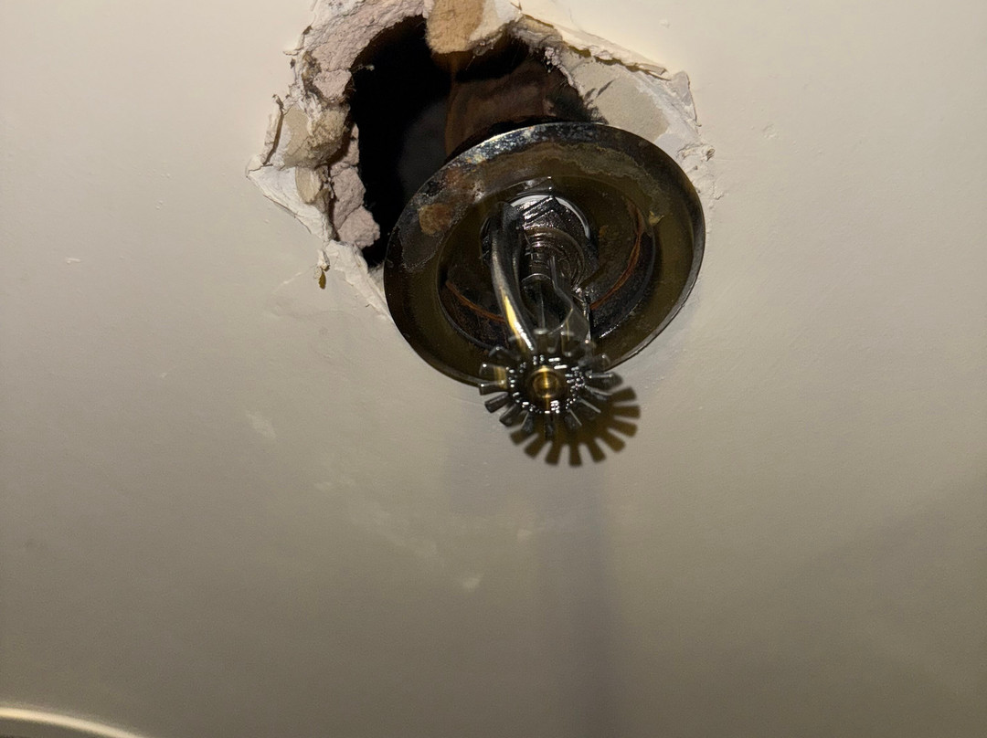 The Addison Hotel, A SureStay Collection by Best Western主图