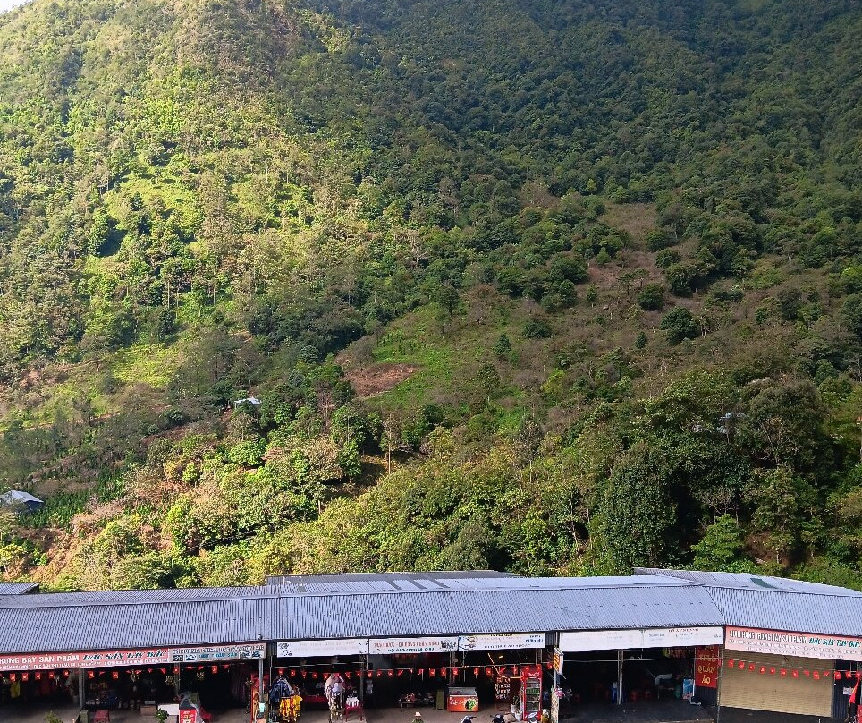 Glass Bridge-沙巴必去景点