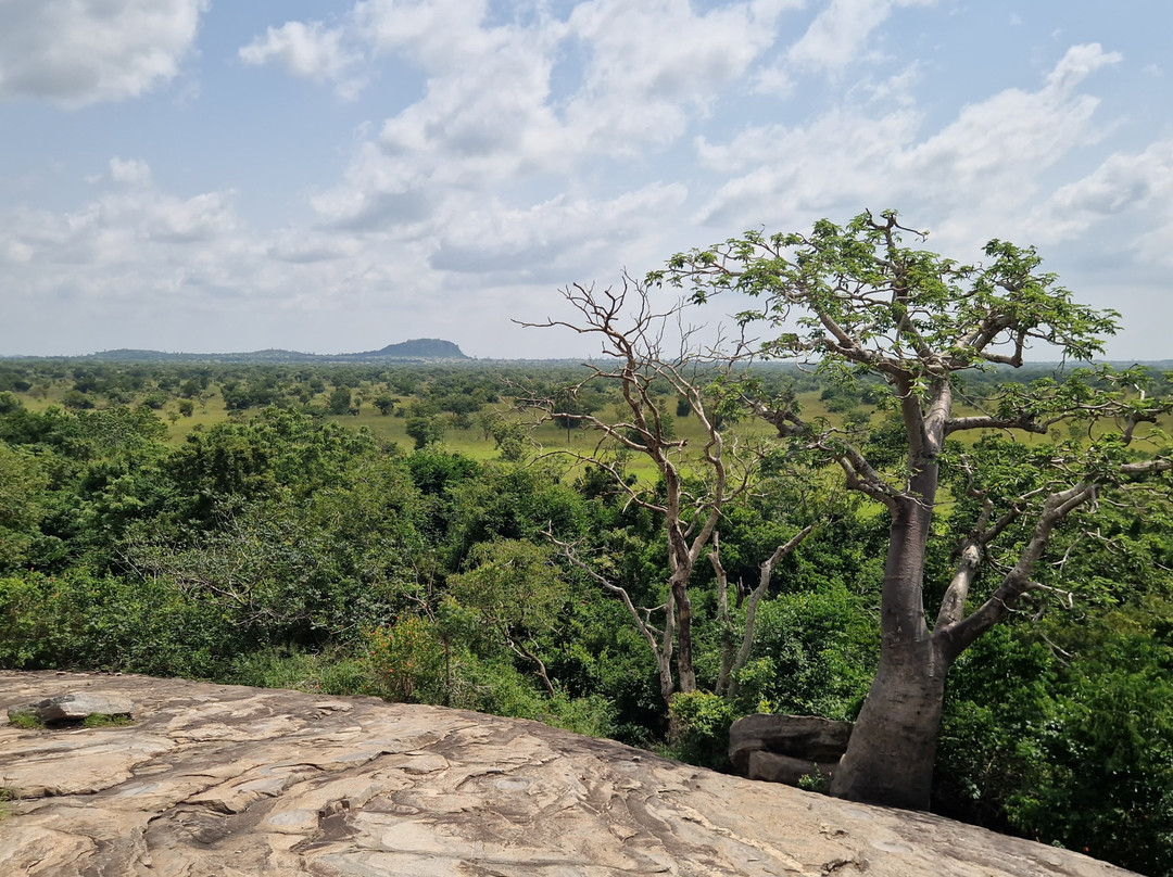 TANF Charity-Tours-Aburi必去景点