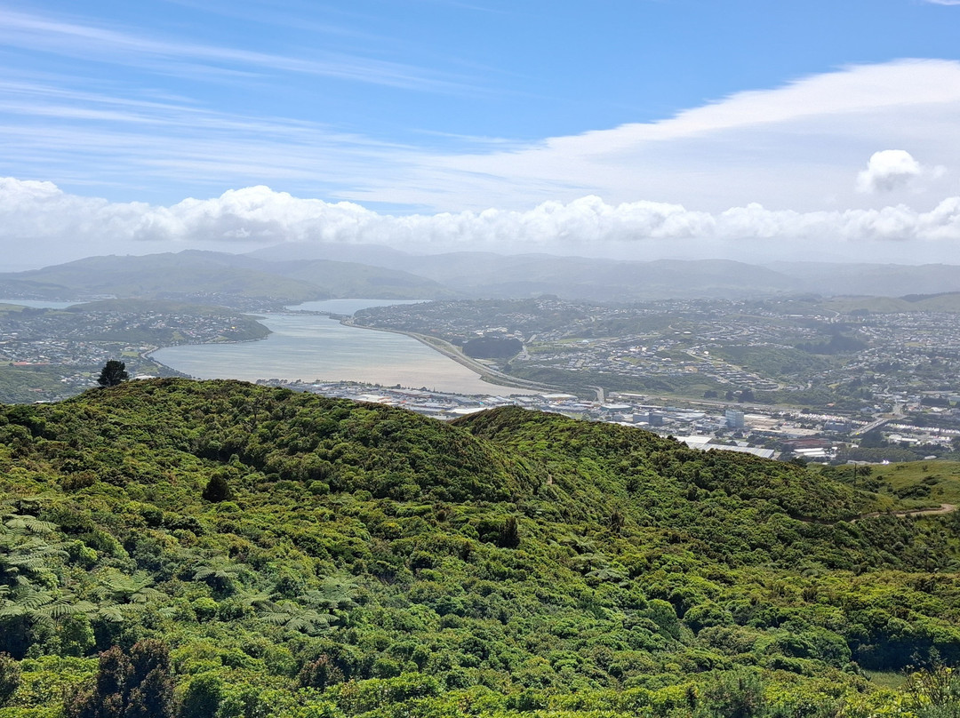 Colonial Knob Walk-Porirua必去景点