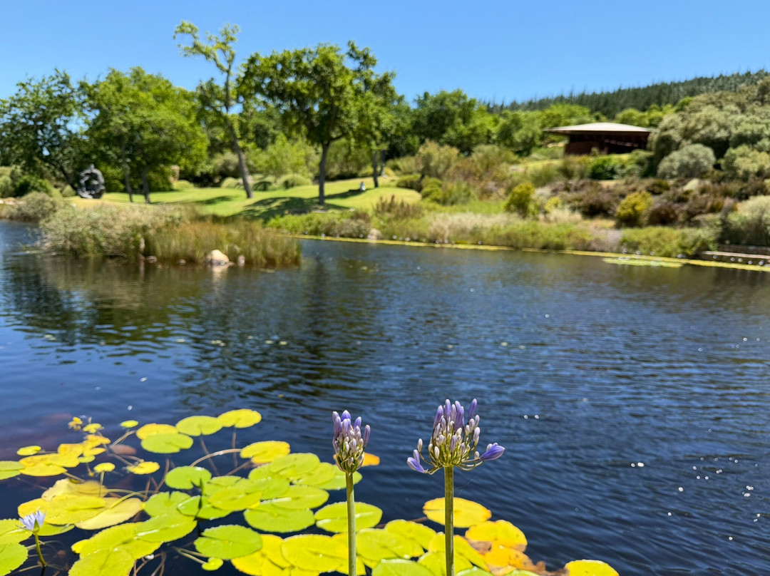 Dylan Lewis Sculpture  Garden-斯泰伦博斯必去景点