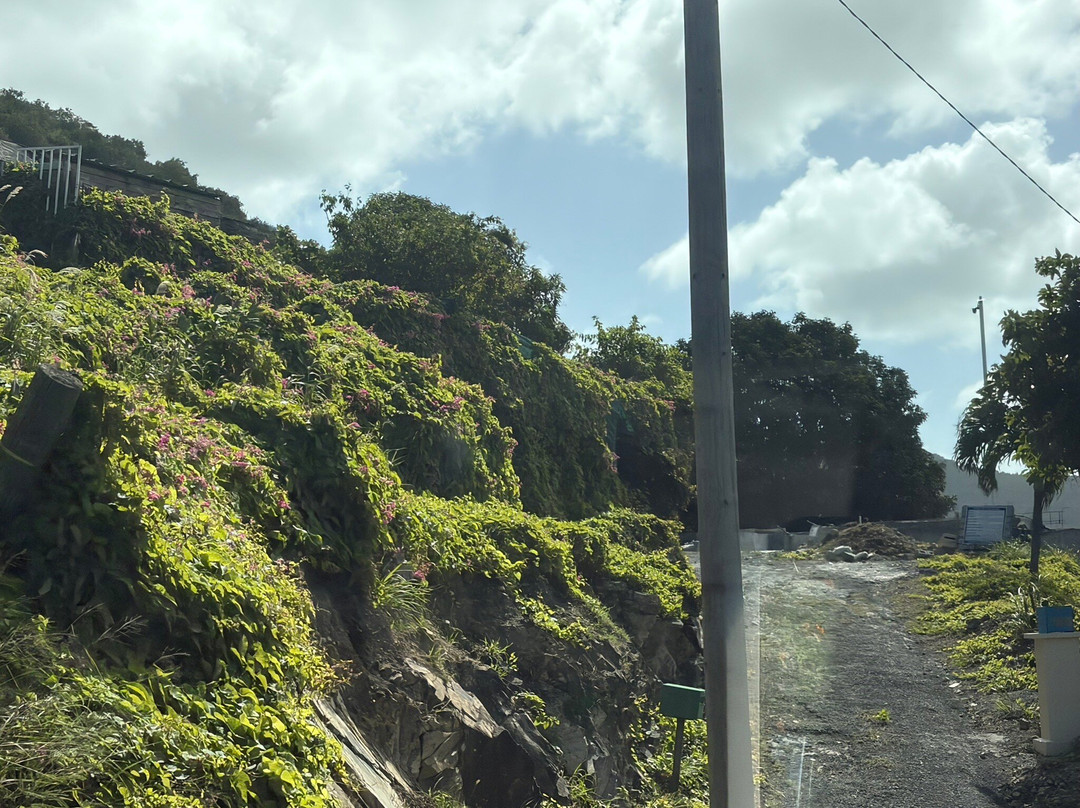 Lagoon Group-Sint Maarten必去景点