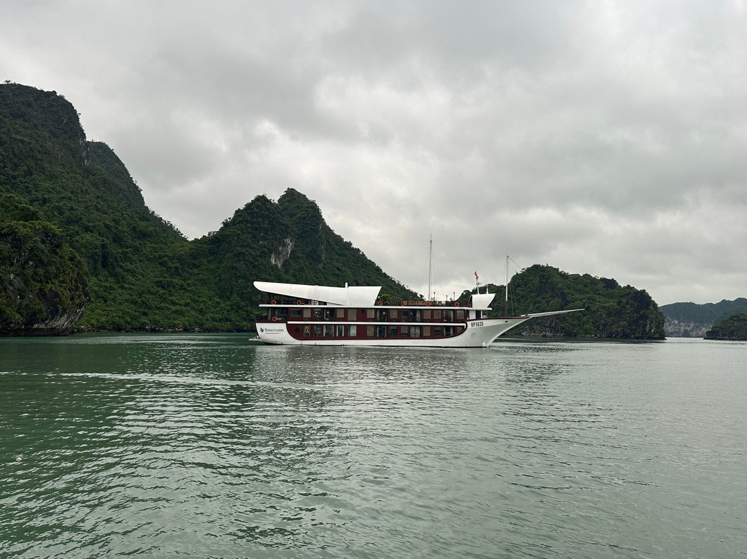 Asia Tours-胡志明市必去景点