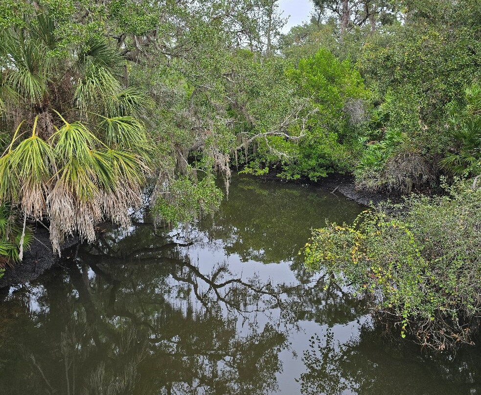 Oscar Scherer State Park-Osprey必去景点